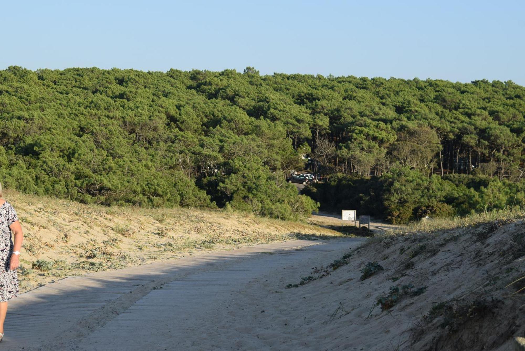 Evasion Cotiere Tranquillite Entre Foret Et Ocean Vielle-Saint-Girons Eksteriør bilde